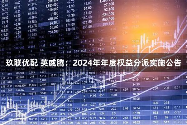 玖联优配 英威腾：2024年年度权益分派实施公告