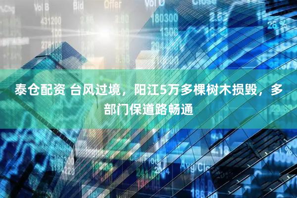 泰仓配资 台风过境，阳江5万多棵树木损毁，多部门保道路畅通